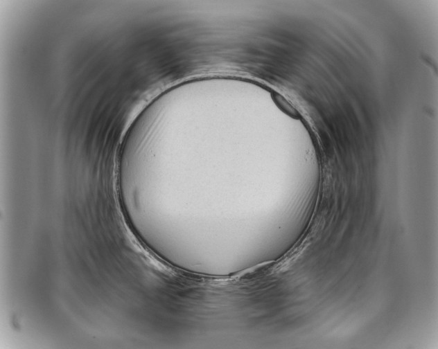 X0000097771390200803281630