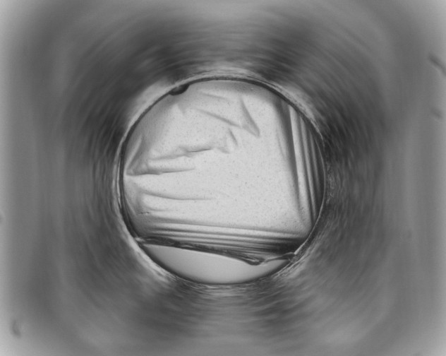 X0000097771391200803281630