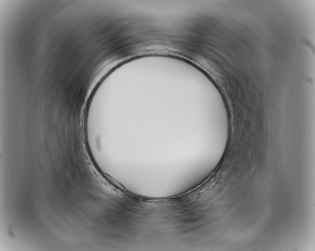 X0000097771392200803281630