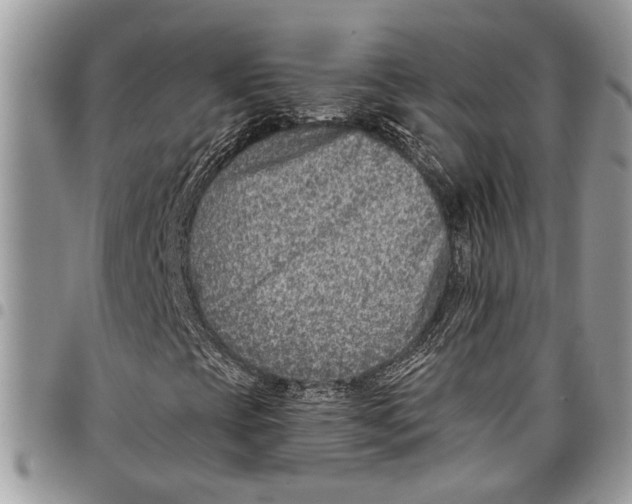 X0000097771393200803281629