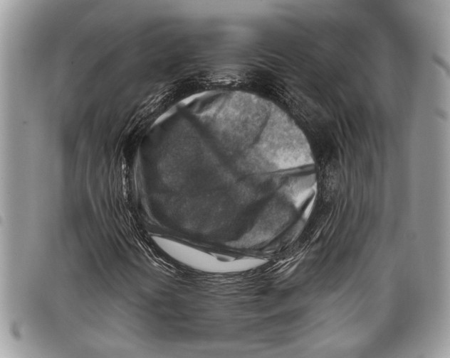 X0000097771394200803281629