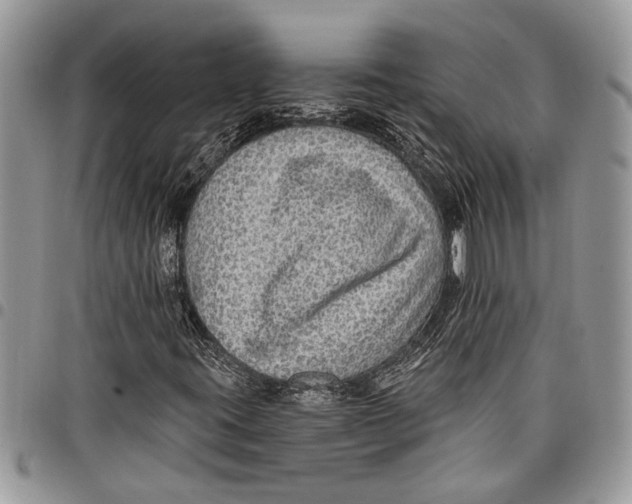 X0000097771395200803281629