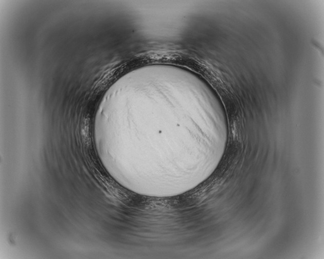 X0000097771396200803281629