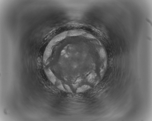 X0000097771397200803281629