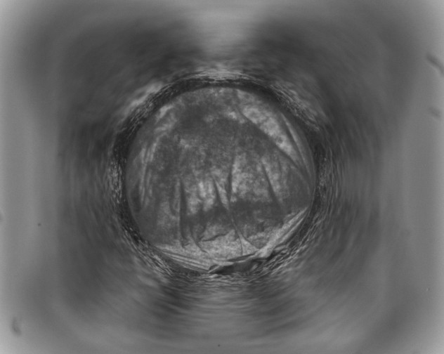 X0000097771398200803281629