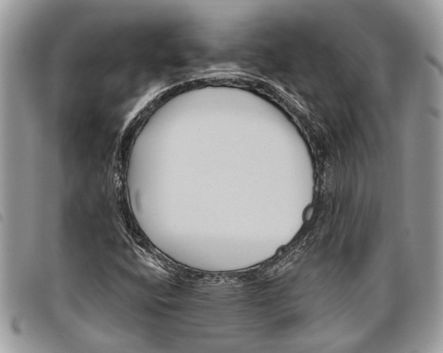 X0000097771400200803281629