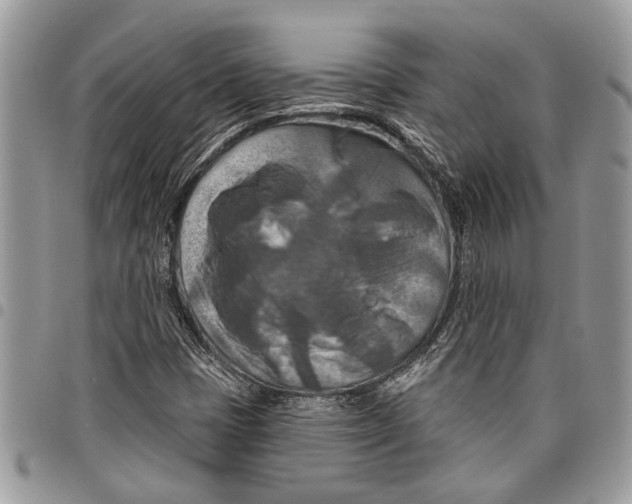 X0000097771401200803281629