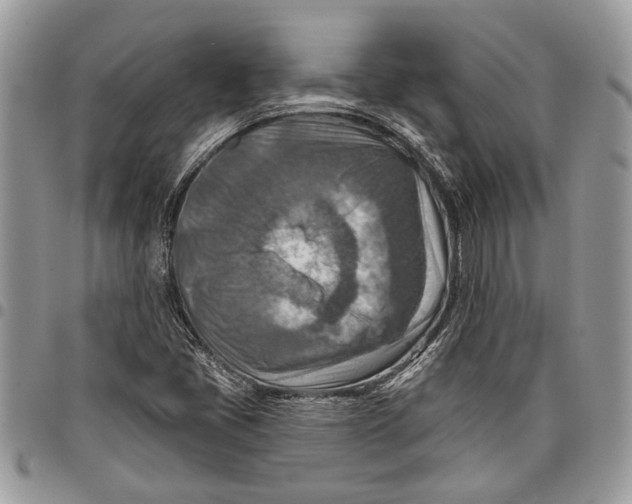 X0000097771405200803281630