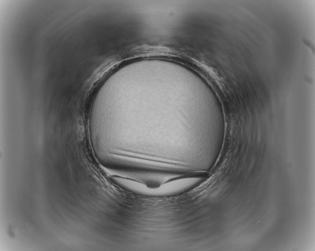 X0000097771407200803281630