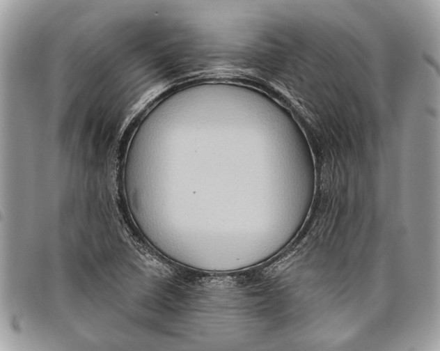 X0000097771410200803281630