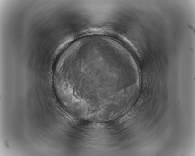 X0000097771411200803281630