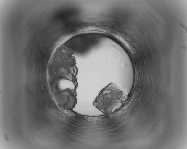 X0000097771413200803281630