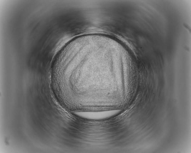 X0000097771415200803281630