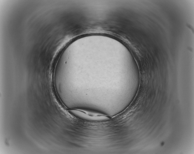 X0000097771416200803281630