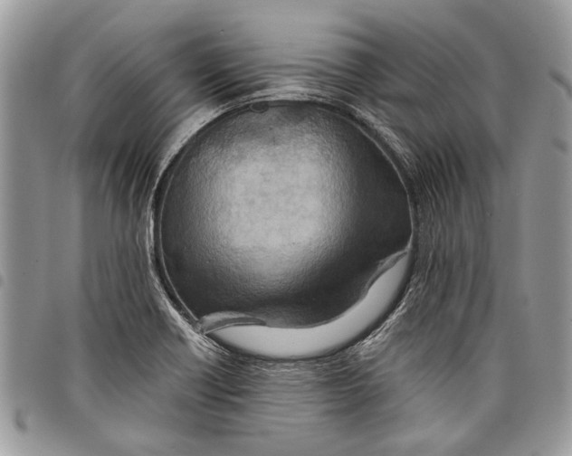 X0000097771418200803281630