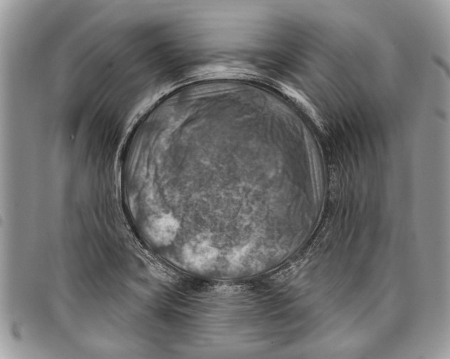 X0000097771419200803281630