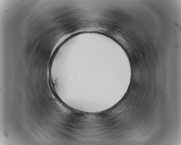 X0000097771420200803281630