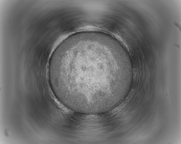 X0000097771421200803281630