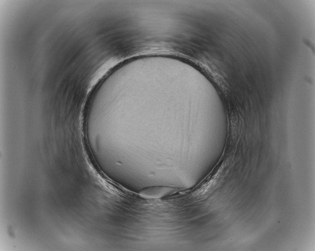 X0000097771422200803281630