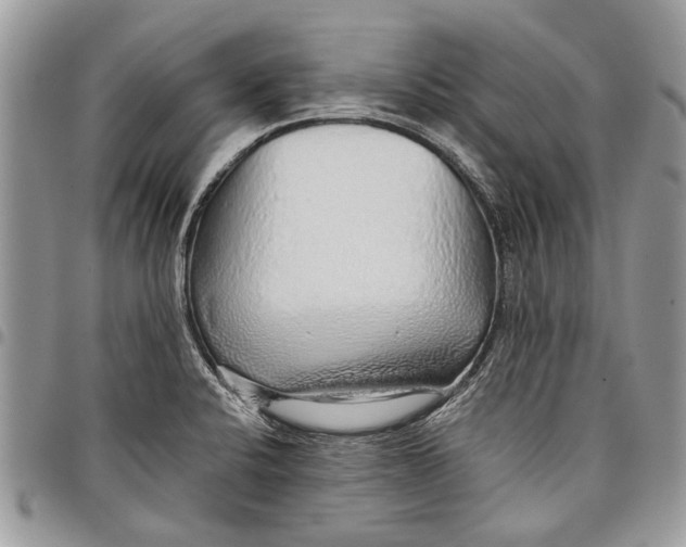 X0000097771424200803281630