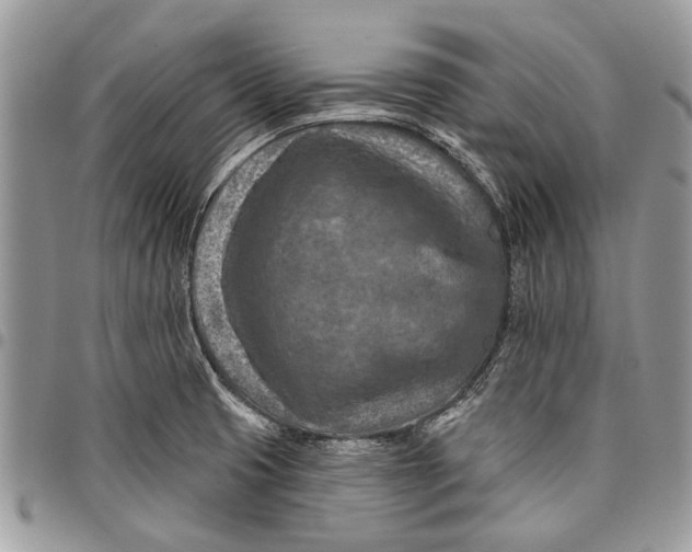 X0000097771425200803281630