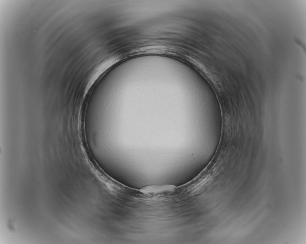 X0000097771426200803281630