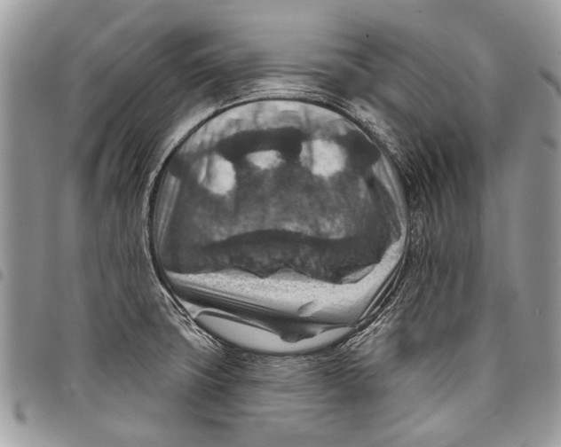 X0000097771427200803281630