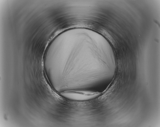 X0000097771428200803281630