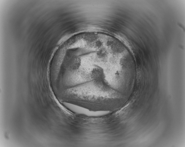 X0000097771429200803281630