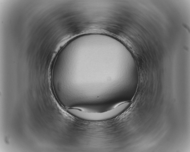 X0000097771430200803281630