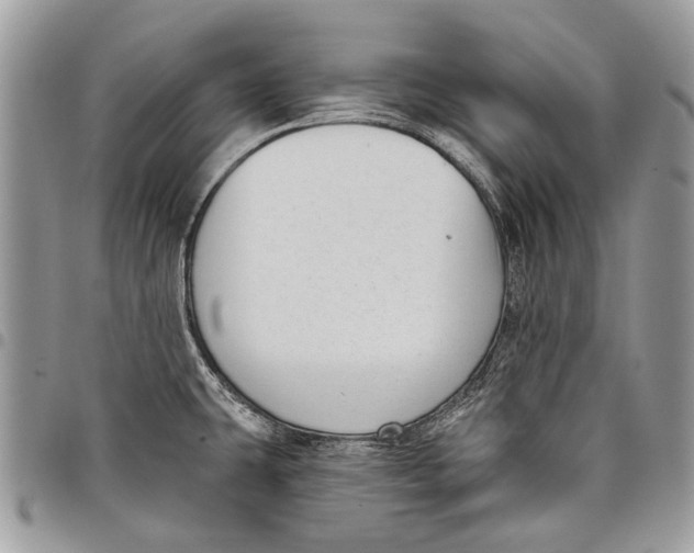 X0000097771431200803281630