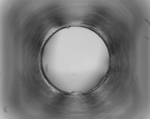 X0000097771432200803281630