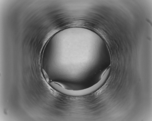 X0000097771434200803281630