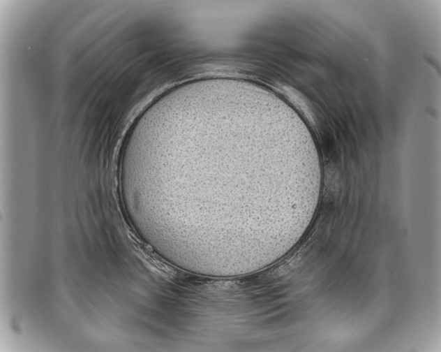 X0000097771435200803281630