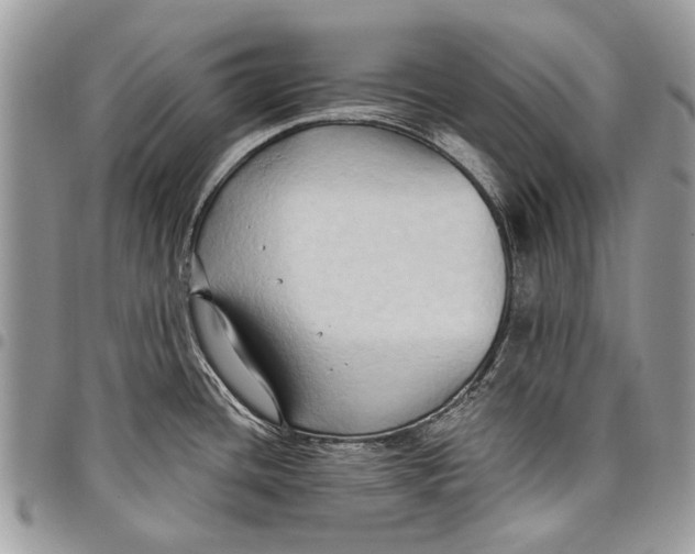 X0000097771436200803281630