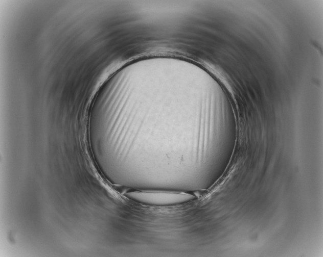 X0000097771437200803281630