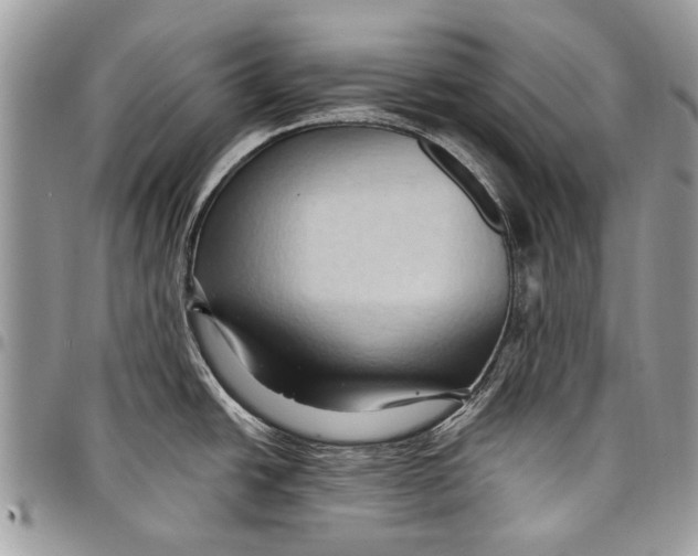 X0000097771438200803281630