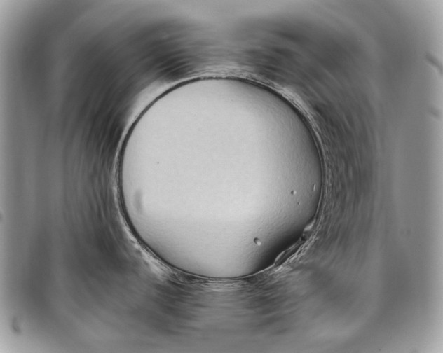 X0000097771440200803281630