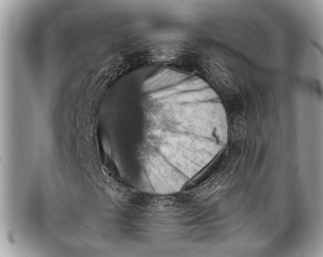 X0000097771441200803281629