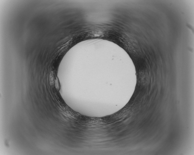 X0000097771442200803281629