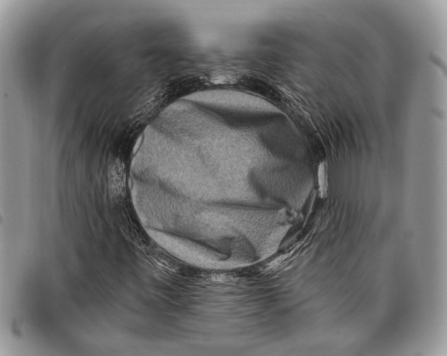 X0000097771443200803281629