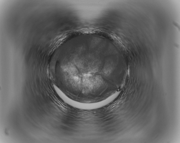 X0000097771444200803281629