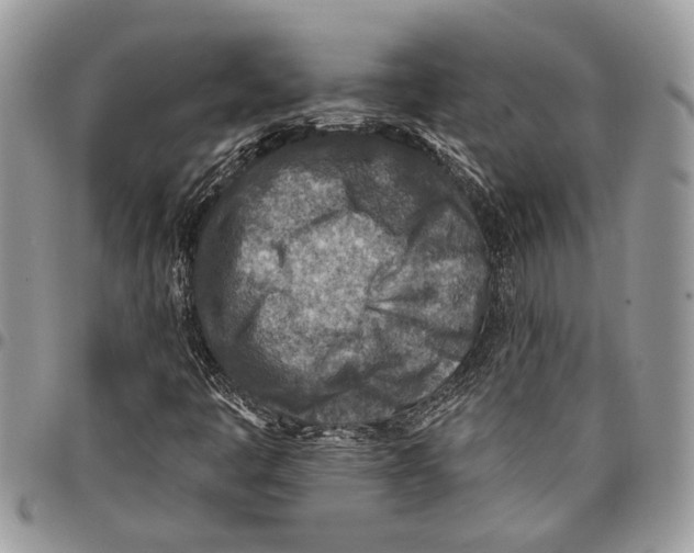 X0000097771445200803281629