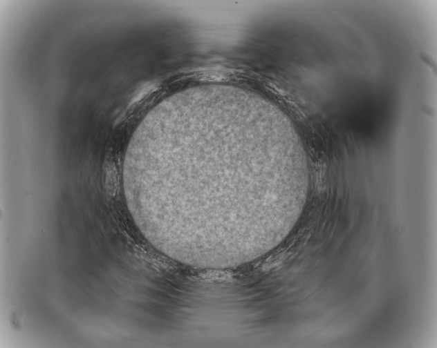 X0000097771446200803281629