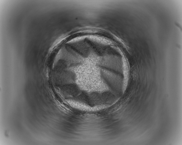 X0000097771448200803281629