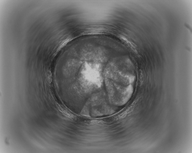 X0000097771449200803281629