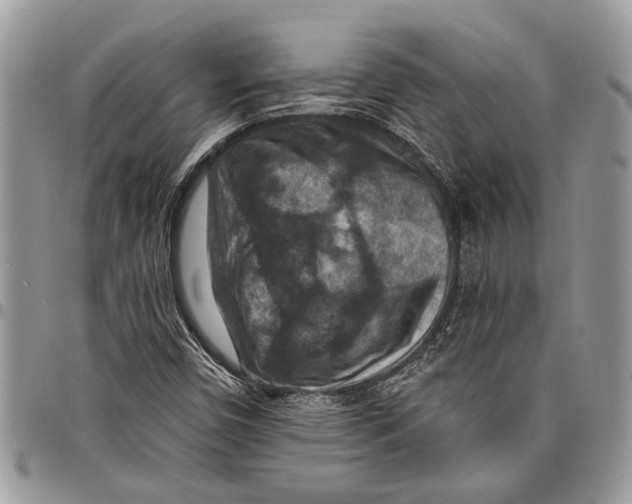 X0000097771450200803281629