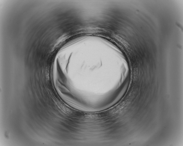 X0000097771451200803281629