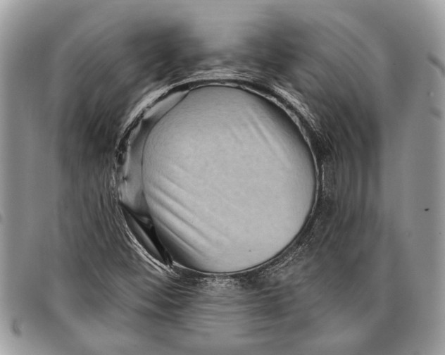 X0000097771452200803281629