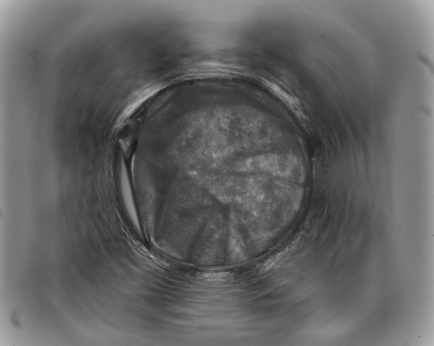 X0000097771453200803281629